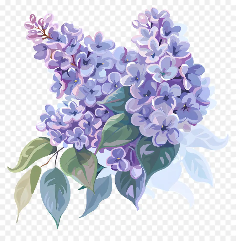 Lilac Estetika，Buket Lilac PNG