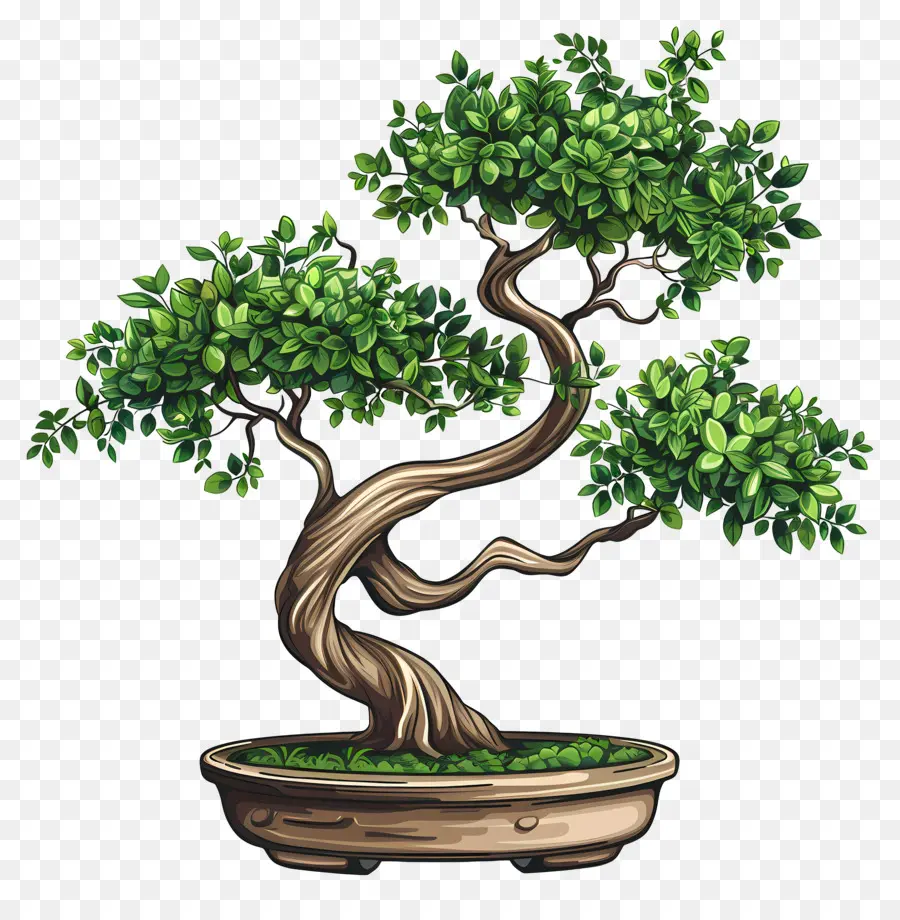 Pohon Bonsai，Pot PNG