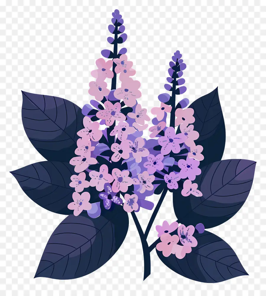 Lilac Estetika，Tanaman Gelap PNG