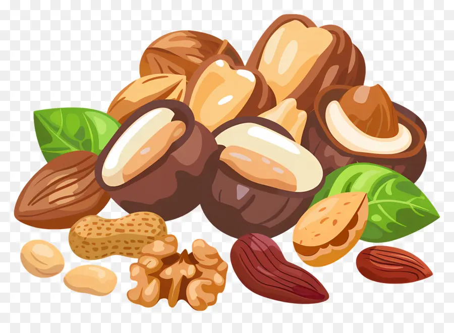 Kacang Kacangan，Biji PNG