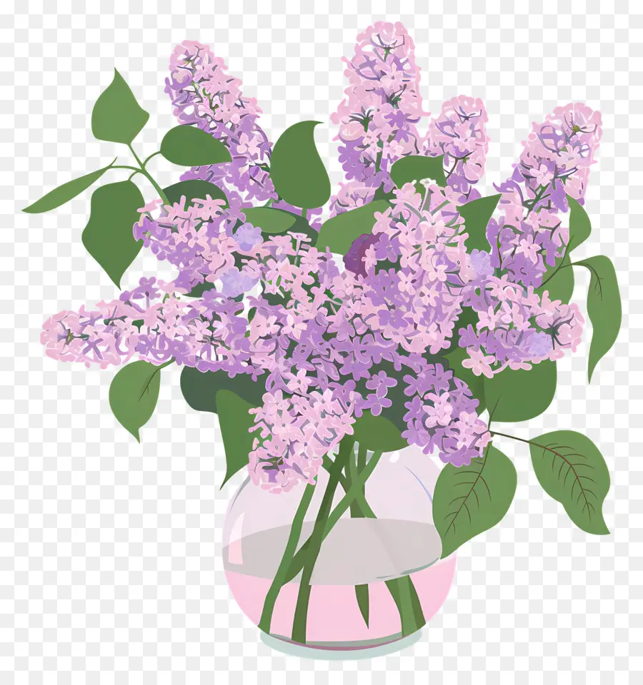 Lilac Estetika，Bunga Ungu PNG