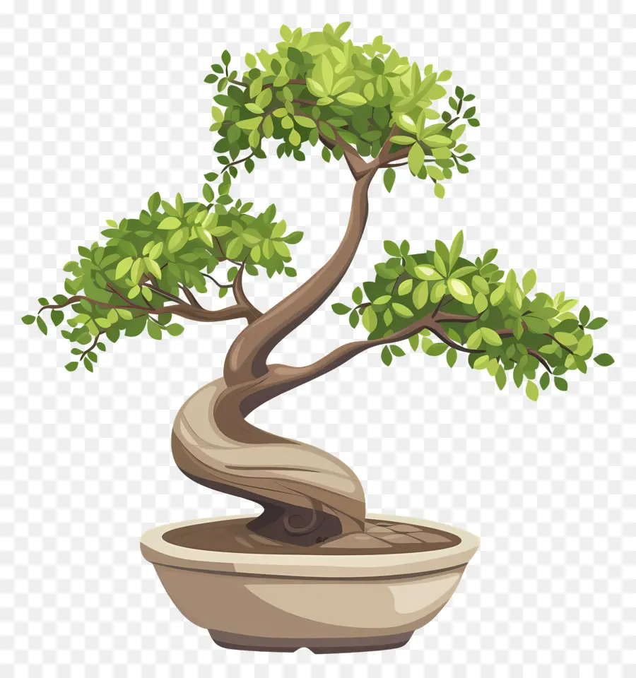 Pohon Bonsai，Pot PNG