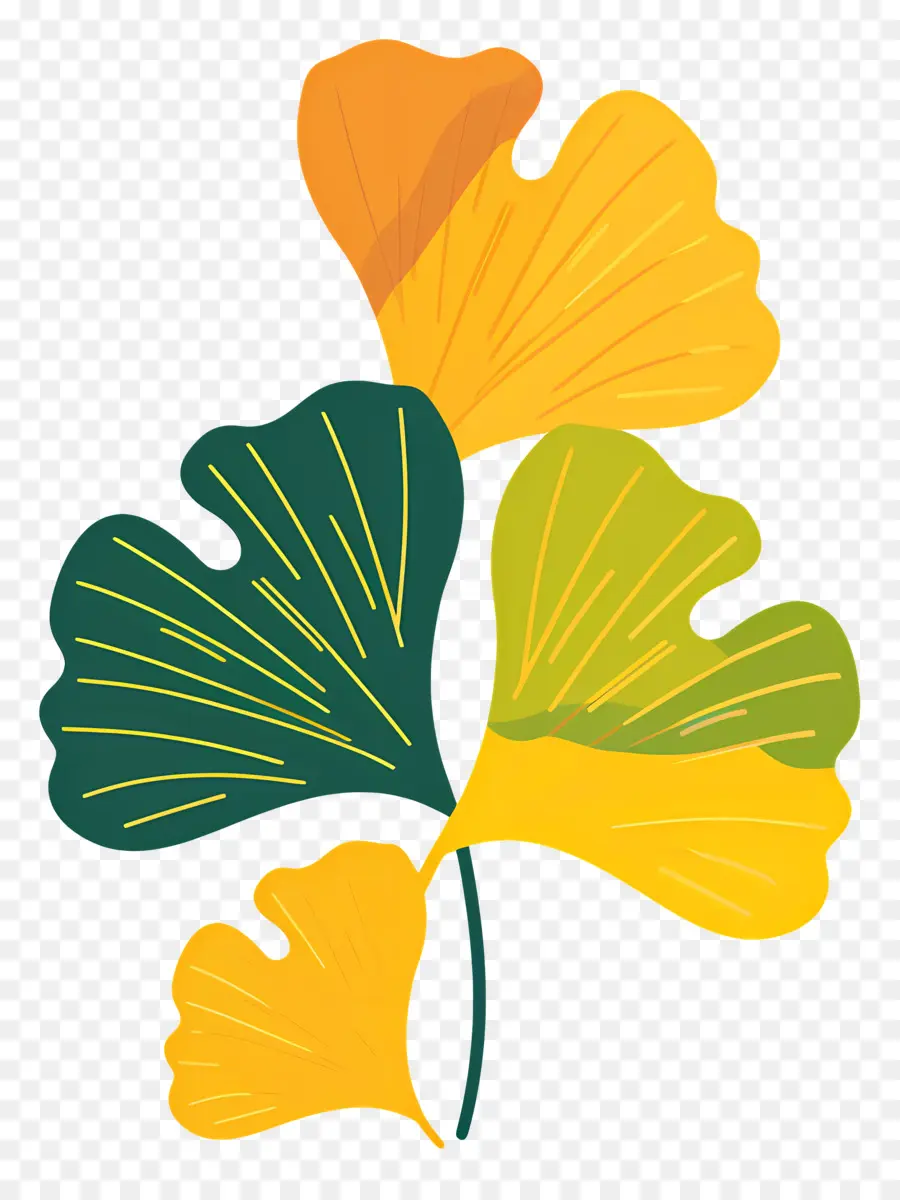 Ginkgo Daun，Daun Ginkgo PNG