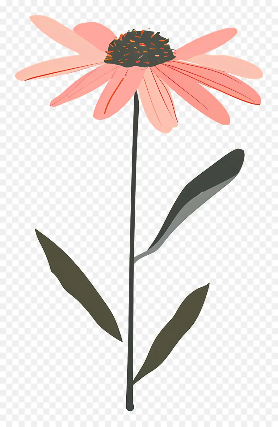 Daisy Merah Muda，Bunga Merah Muda PNG