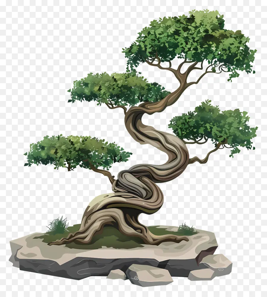 Pohon Bonsai，Batang PNG