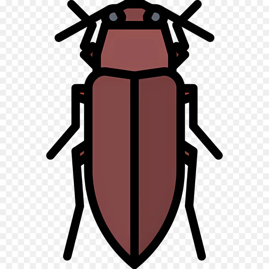 Kumbang，Serangga PNG