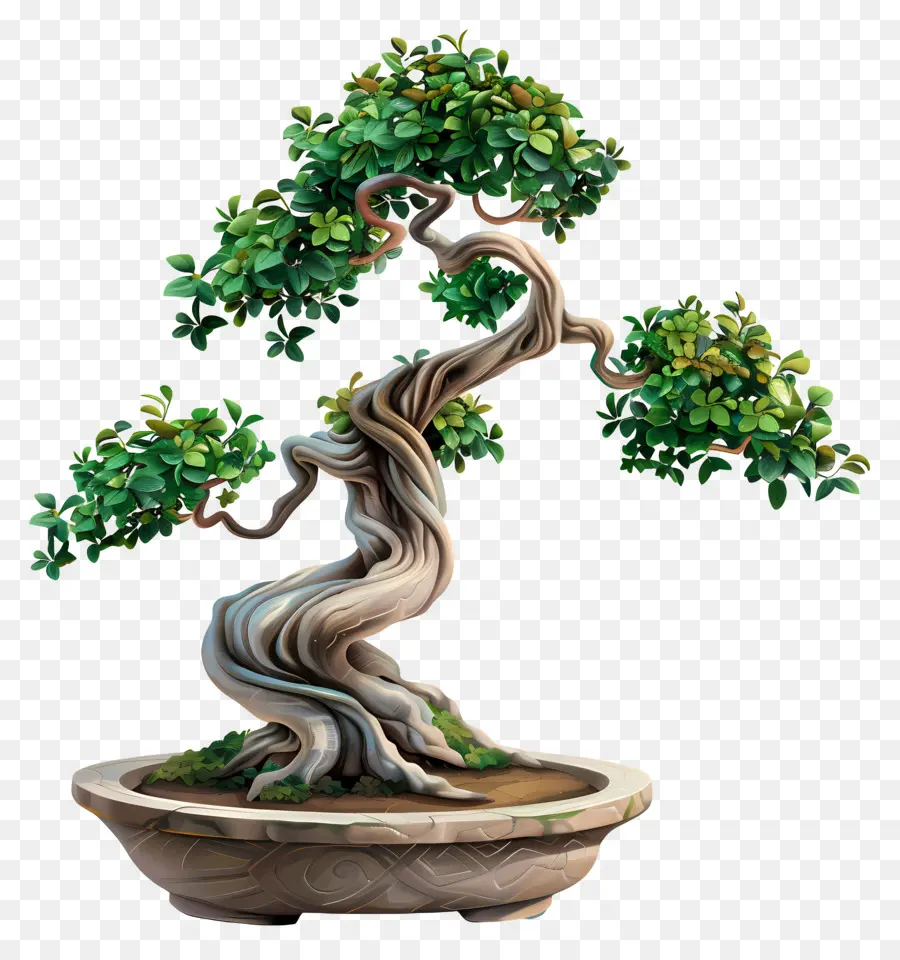 Pohon Bonsai，Tanaman Miniatur PNG