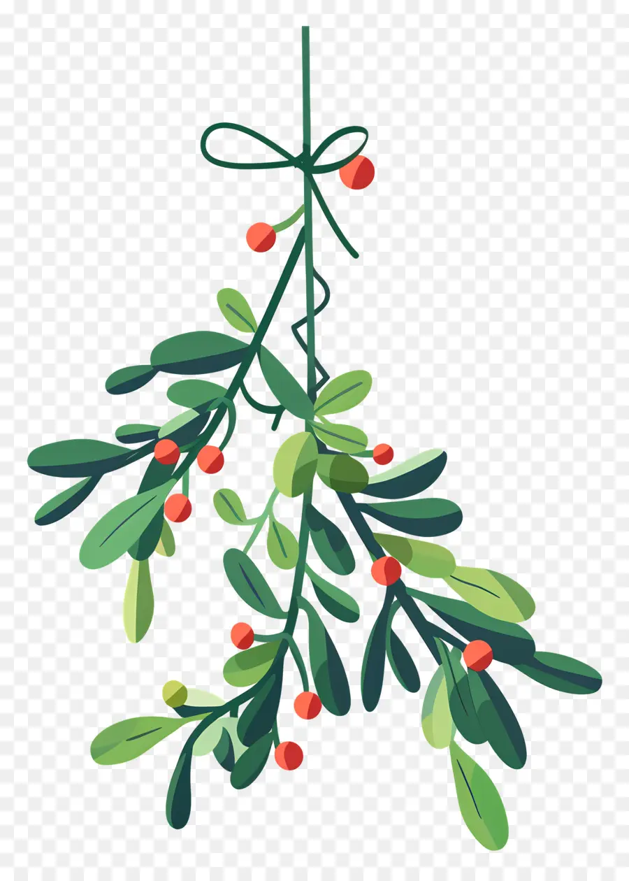 Menggantung Mistletoe，Cabang Pohon PNG