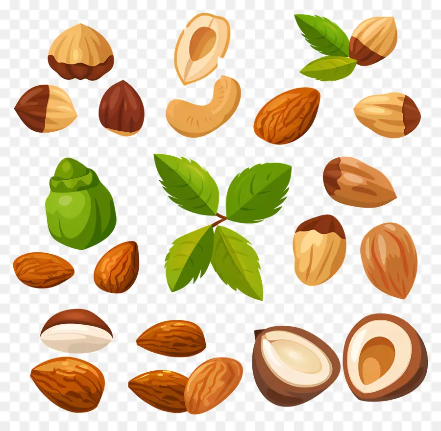 Kacang Kacangan，Almond PNG