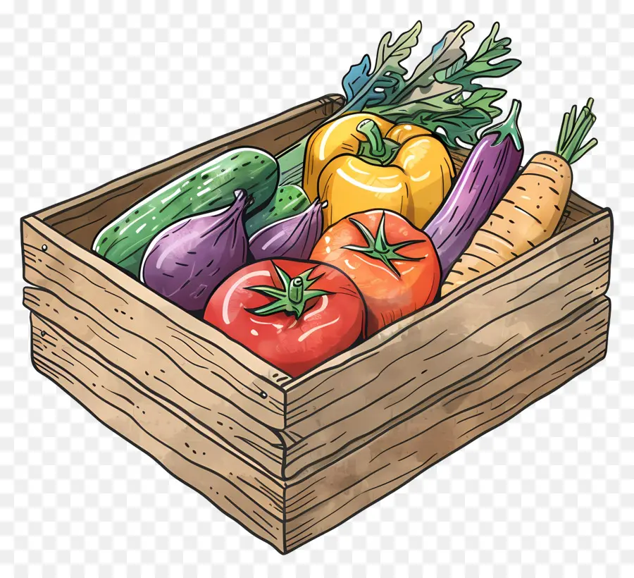 Sayur Box，Sayuran PNG