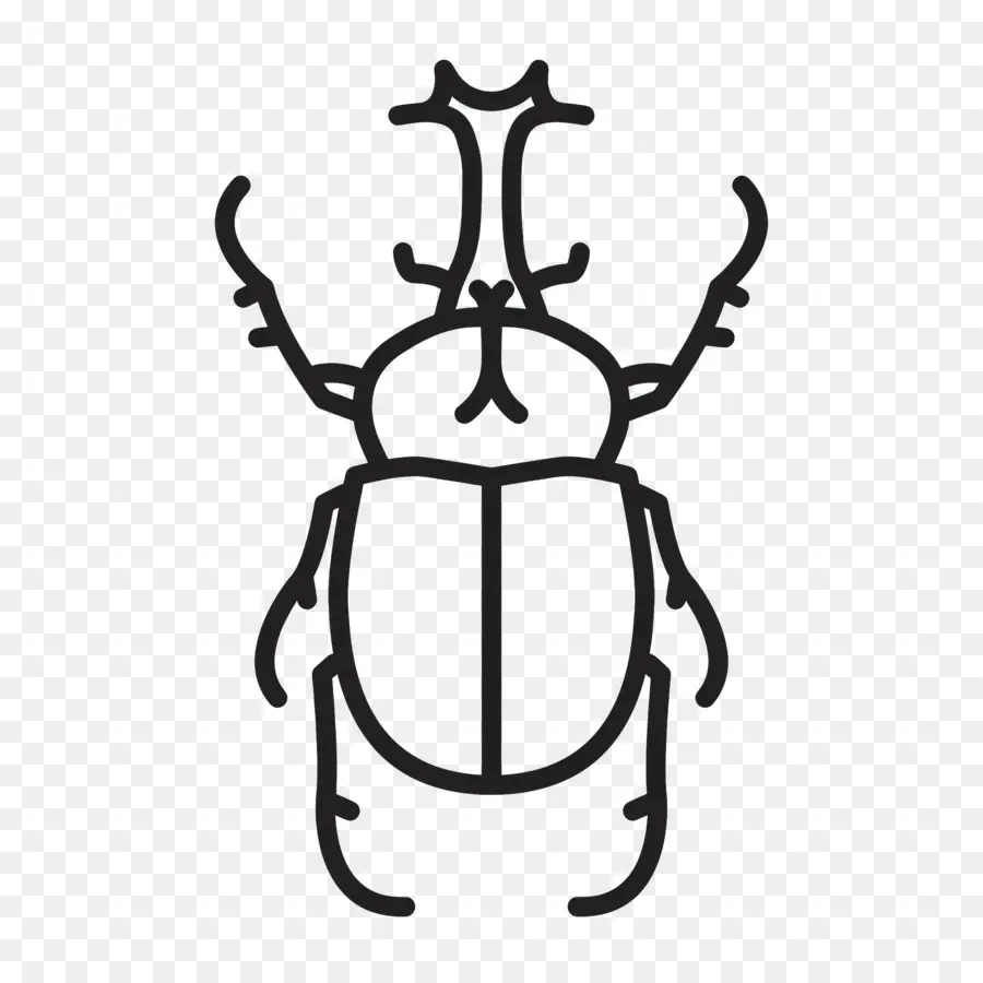 Kumbang，Serangga PNG