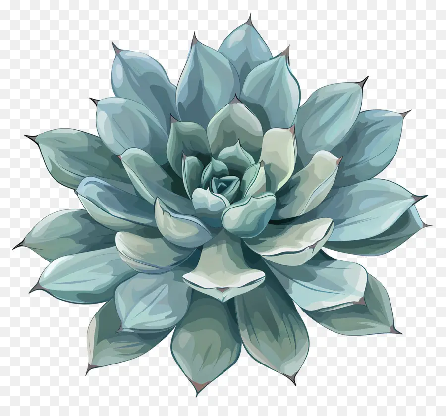 Tanaman Sukulen，Tanaman Succulent Biru PNG