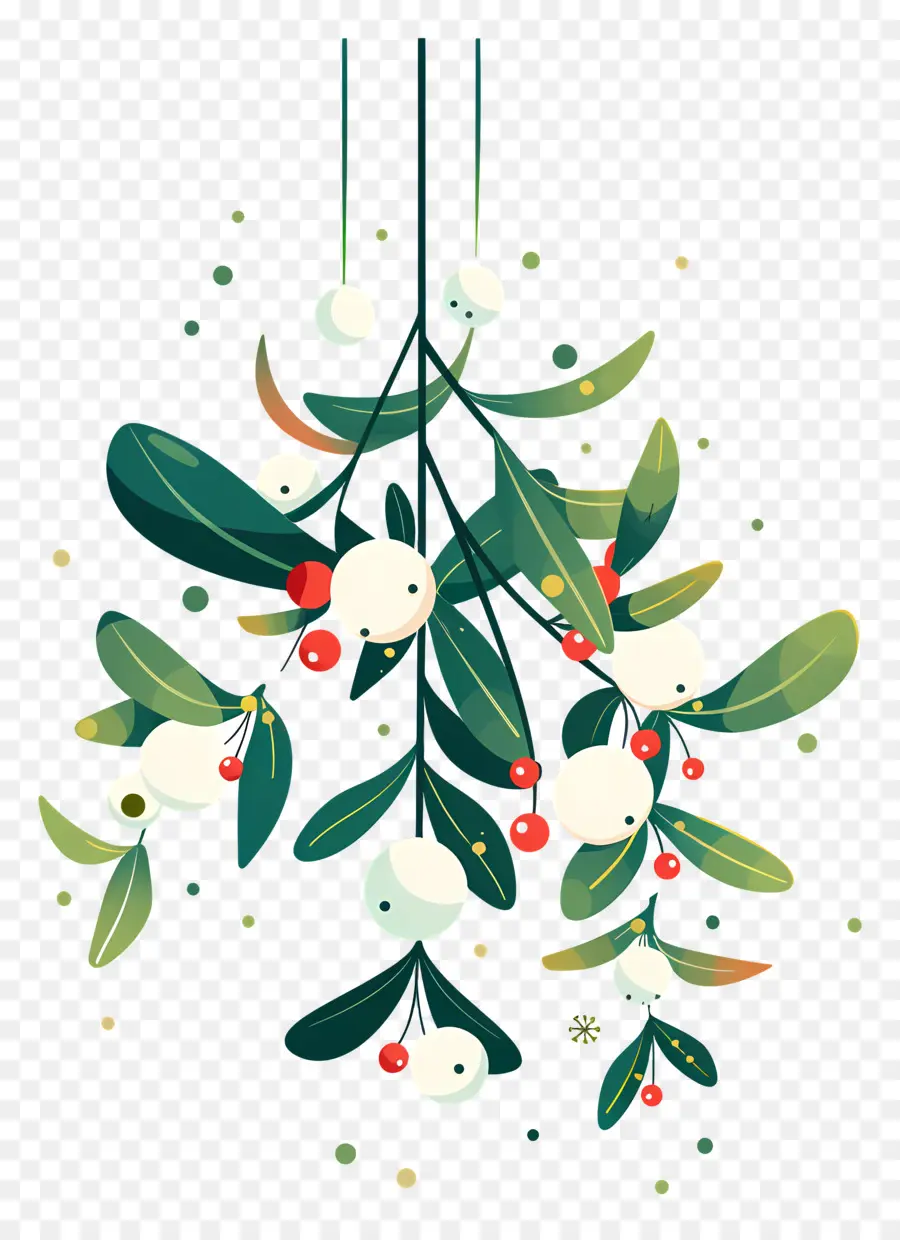 Menggantung Mistletoe，Buah Hijau PNG