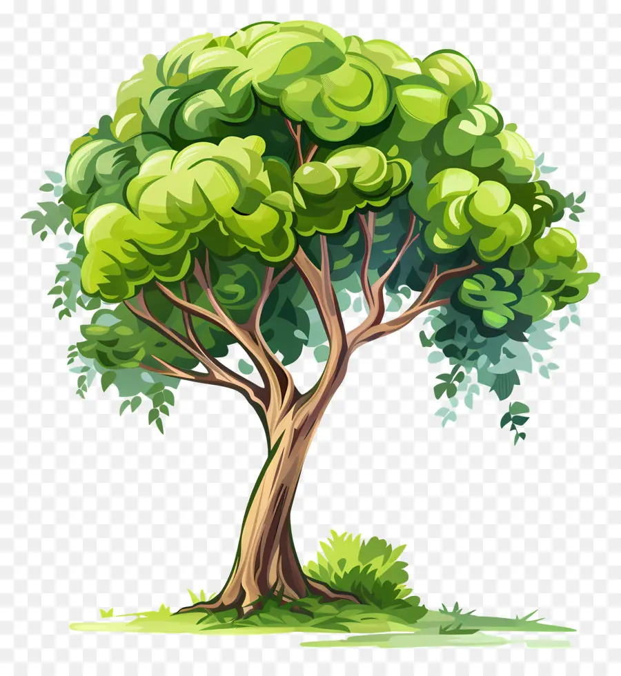 Pohon，Lapangan Hijau PNG