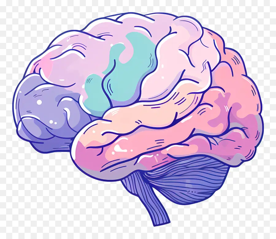 Kartun Otak，Otak PNG