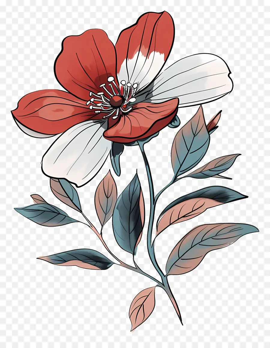Kartun Bunga，Bunga Merah Dan Putih PNG