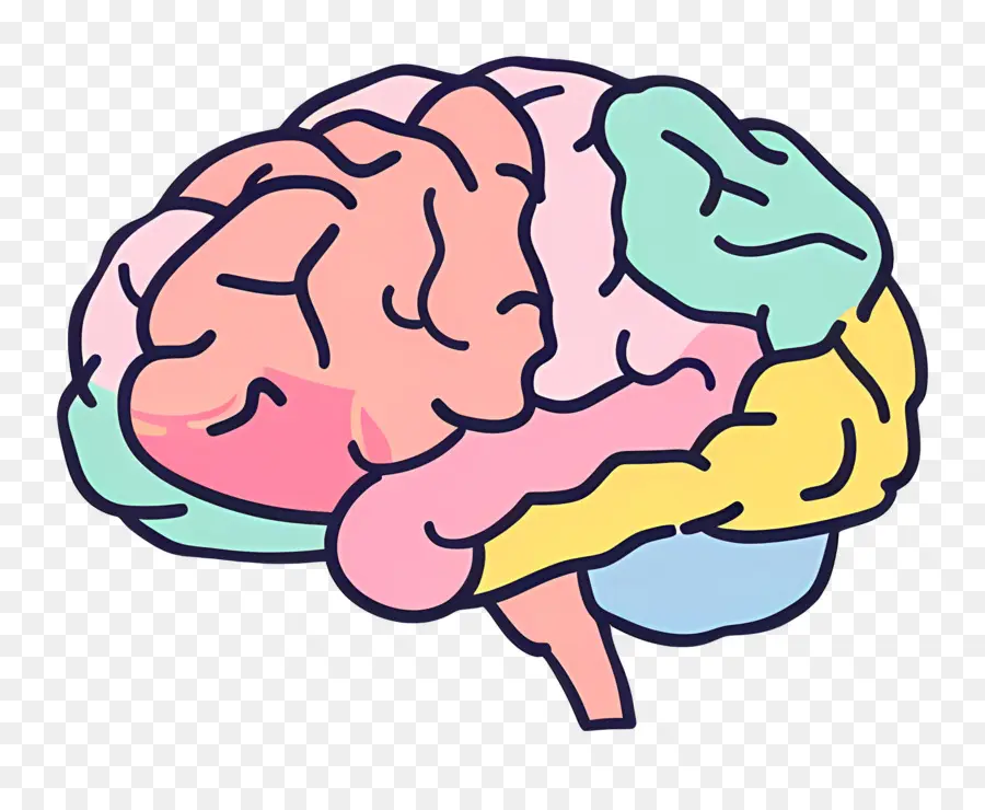 Kartun Otak，Otak Manusia PNG