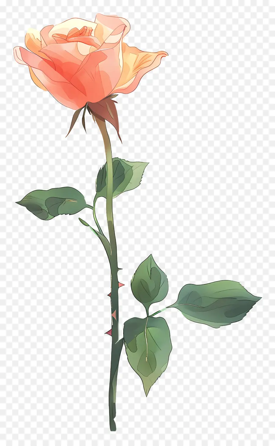 Mawar Tunggal，Pink Rose PNG