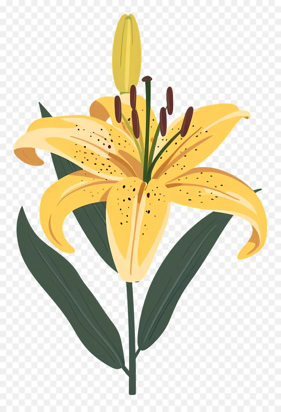 Bunga Lily，Kelopak Kuning PNG