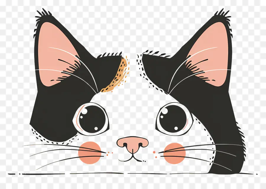 Peeking Cat，Kucing Hitam PNG