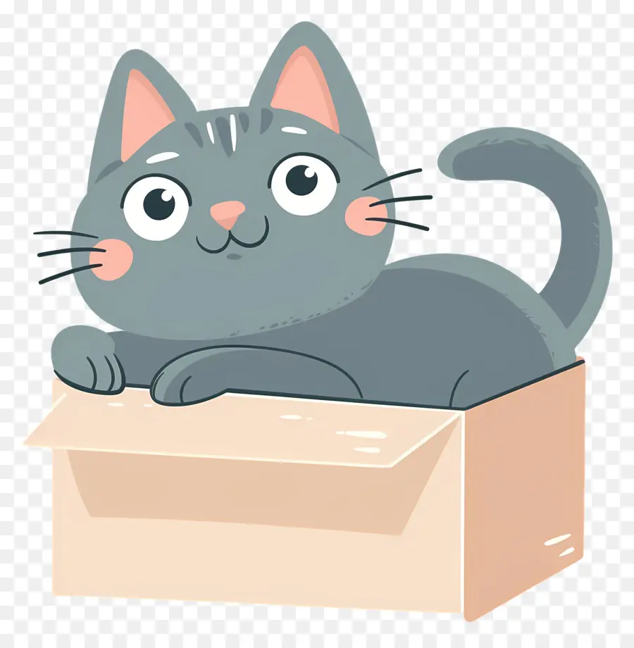 Kucing Dalam Kotak，Kucing Abu Abu PNG