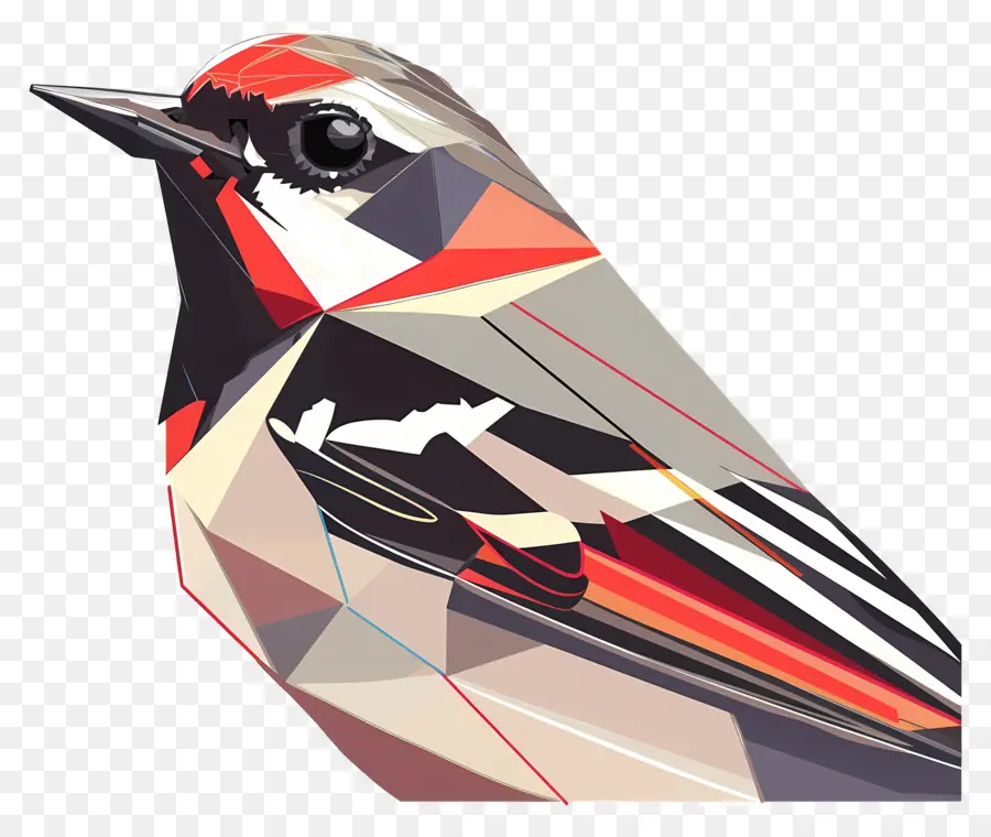 Burung，3D Rendering PNG