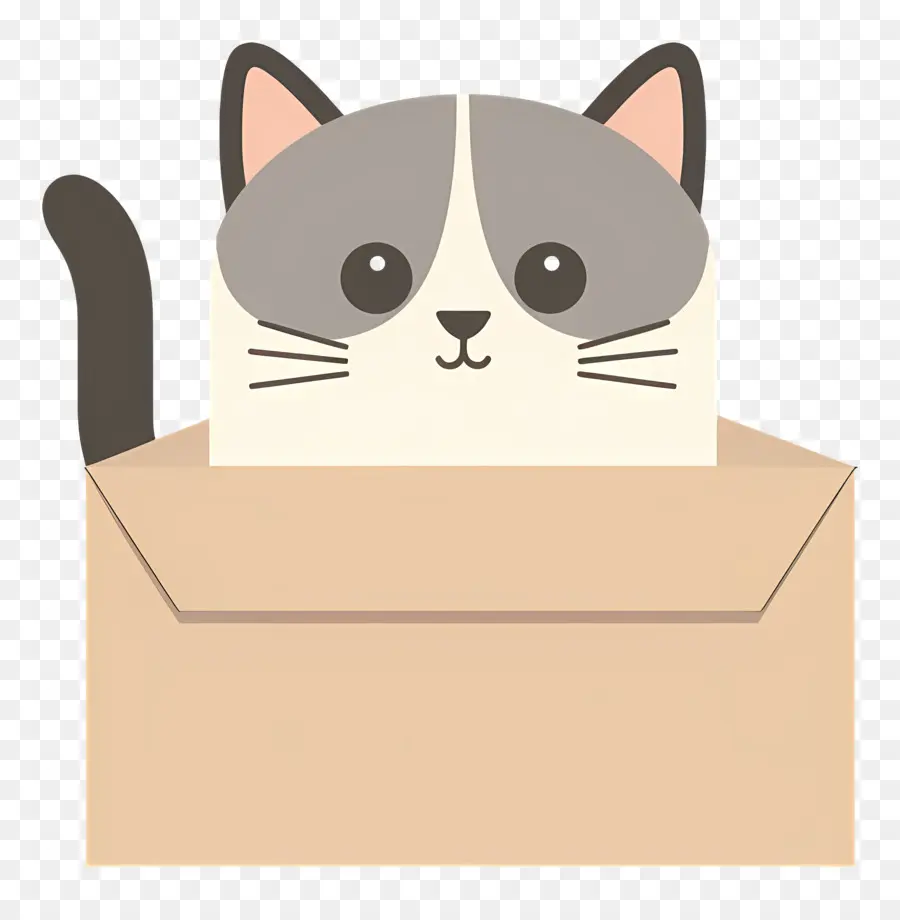 Kucing Dalam Kotak，Kucing PNG