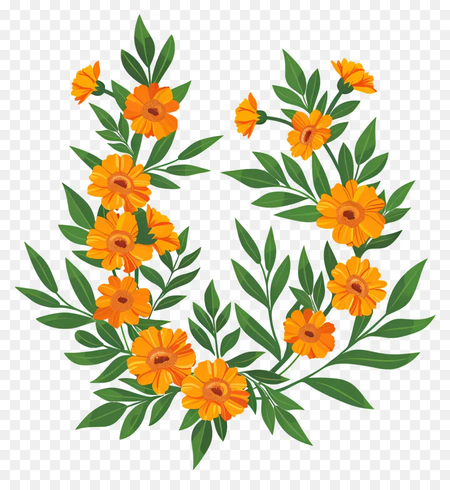 Karangan Bunga Marigold，Bunga PNG