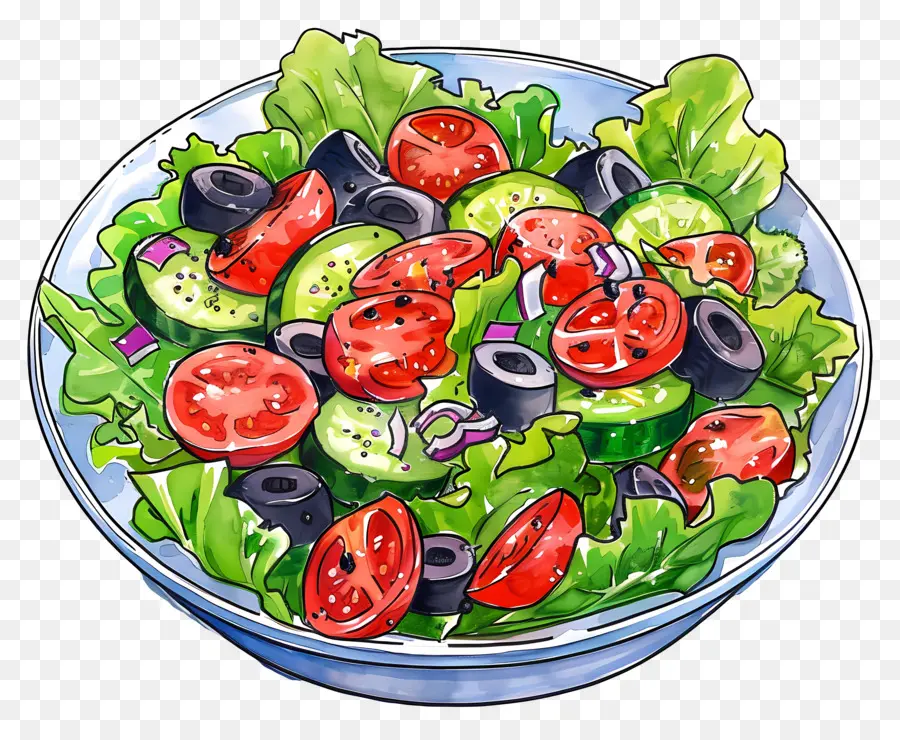 Salad，Tomat PNG