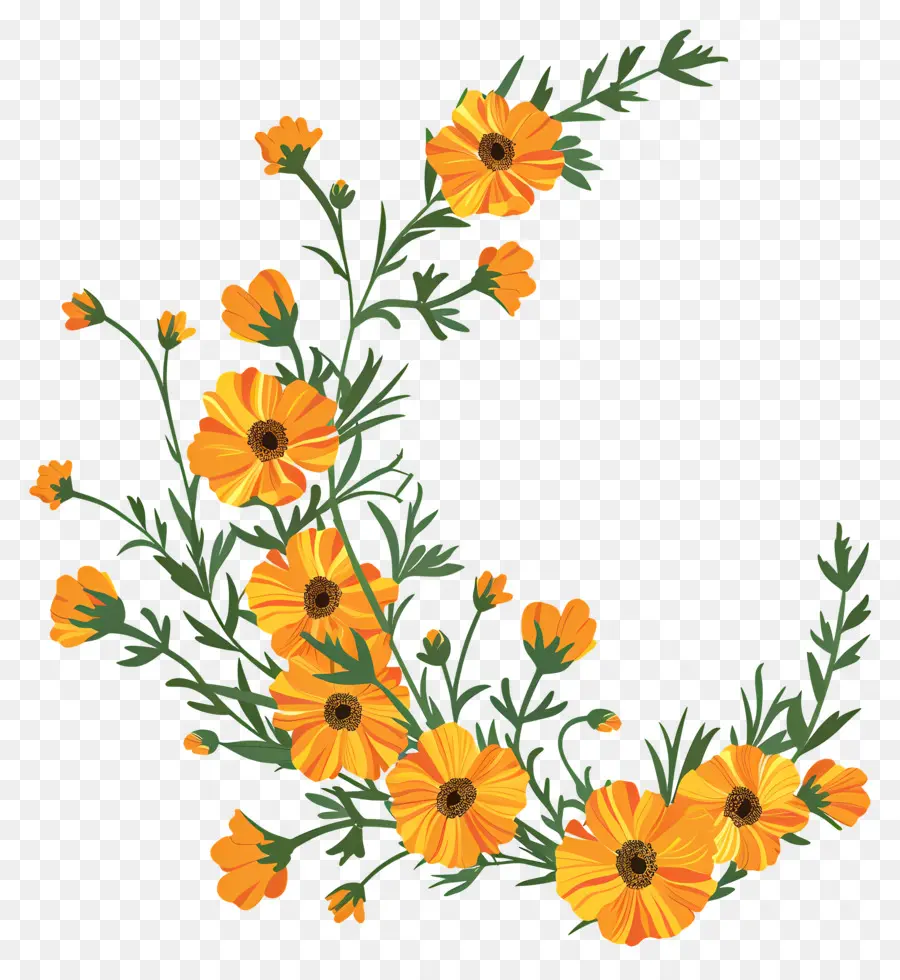 Karangan Bunga Marigold，Bunga Kuning PNG