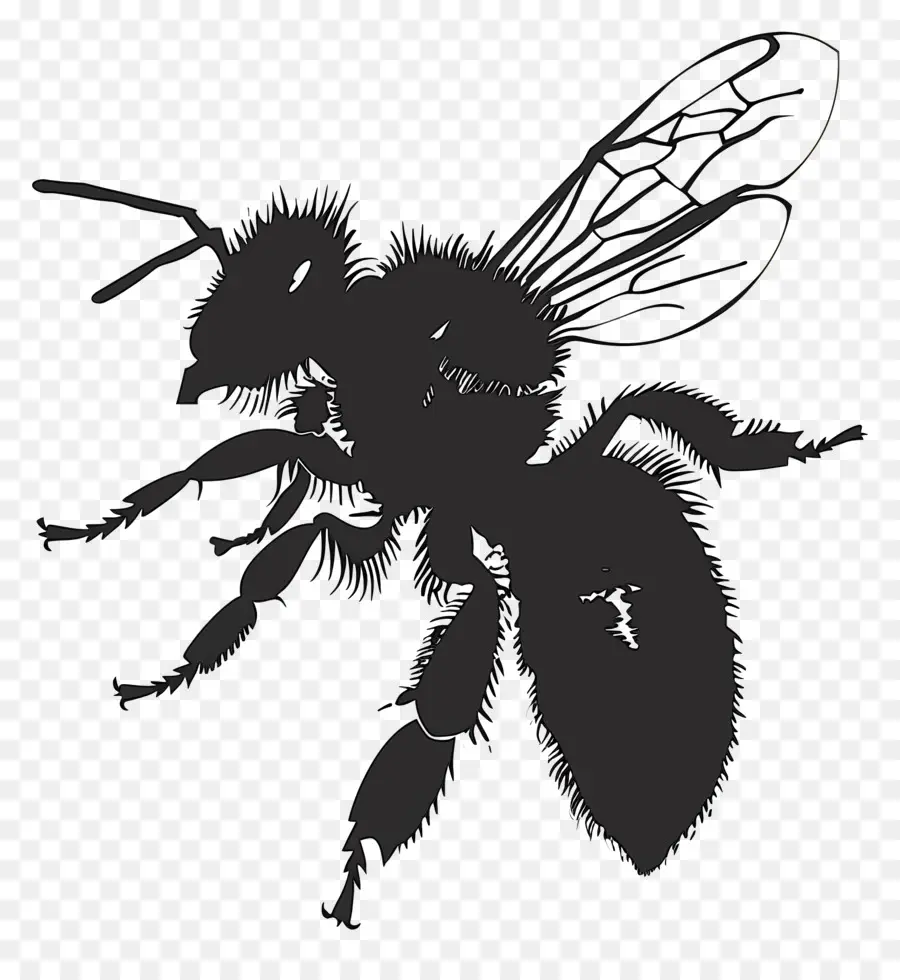 Bee Siluet，Lebah Madu PNG