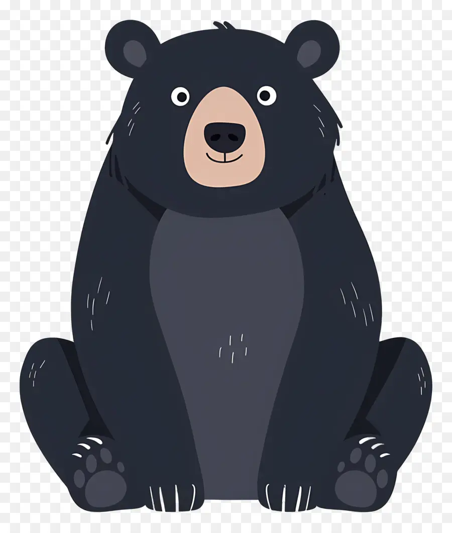 Beruang，Beruang Hitam PNG
