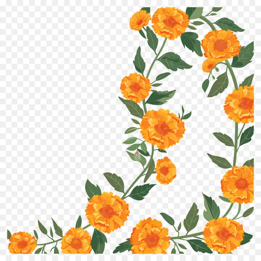 Karangan Bunga Marigold，Bunga PNG