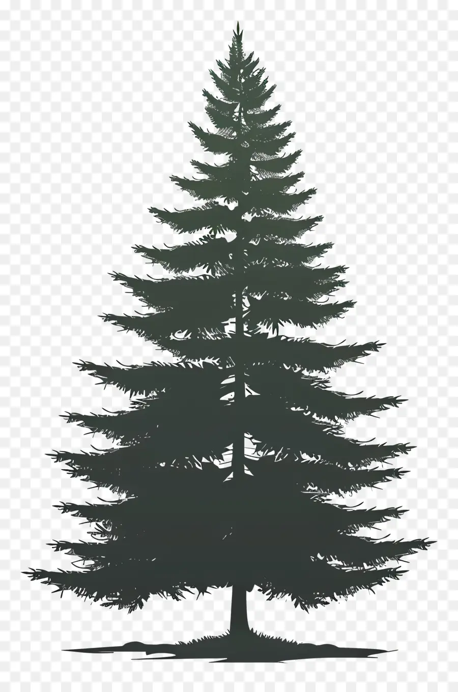 Pohon Pinus Siluet，Pohon Pinus PNG