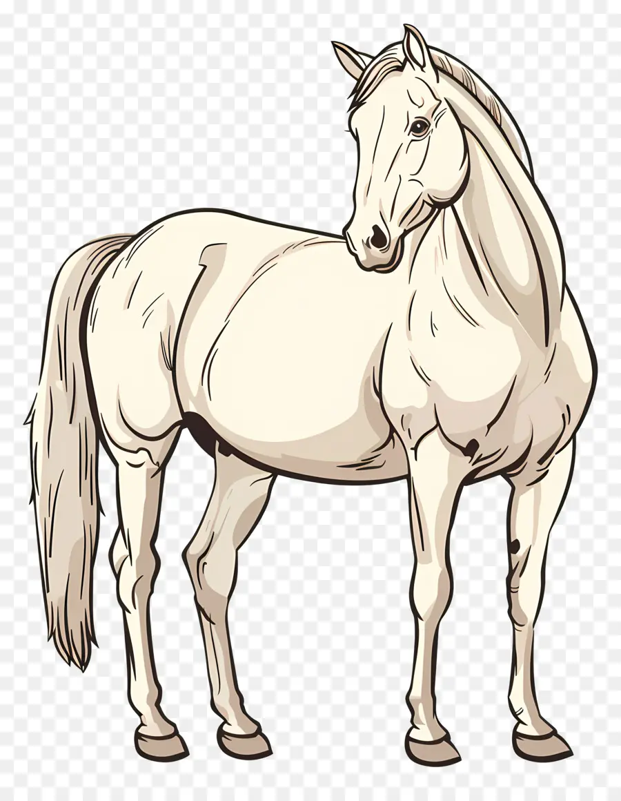 Kuda，Kuda Putih PNG