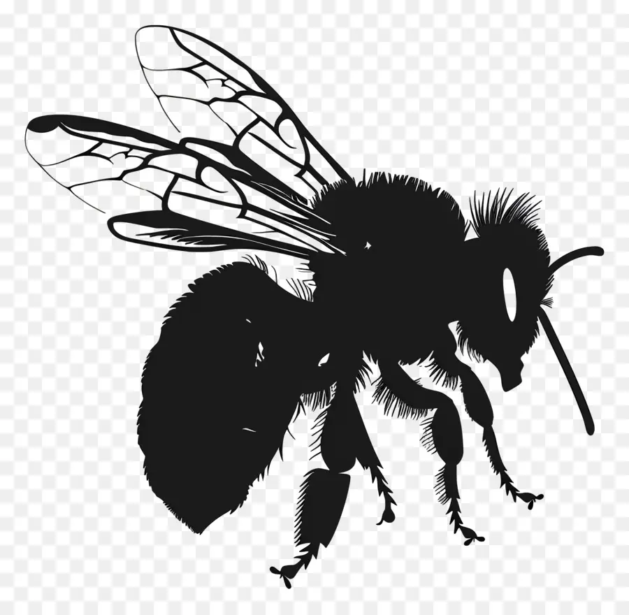 Bee Siluet，Lebah PNG