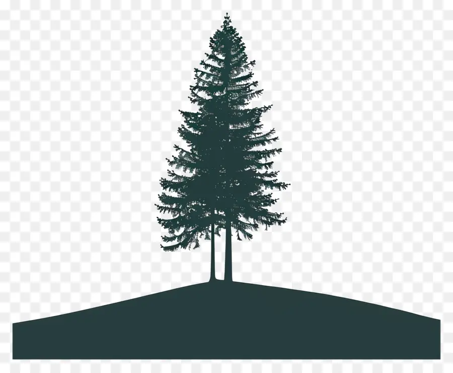 Pohon Pinus Siluet，Pohon Pinus PNG