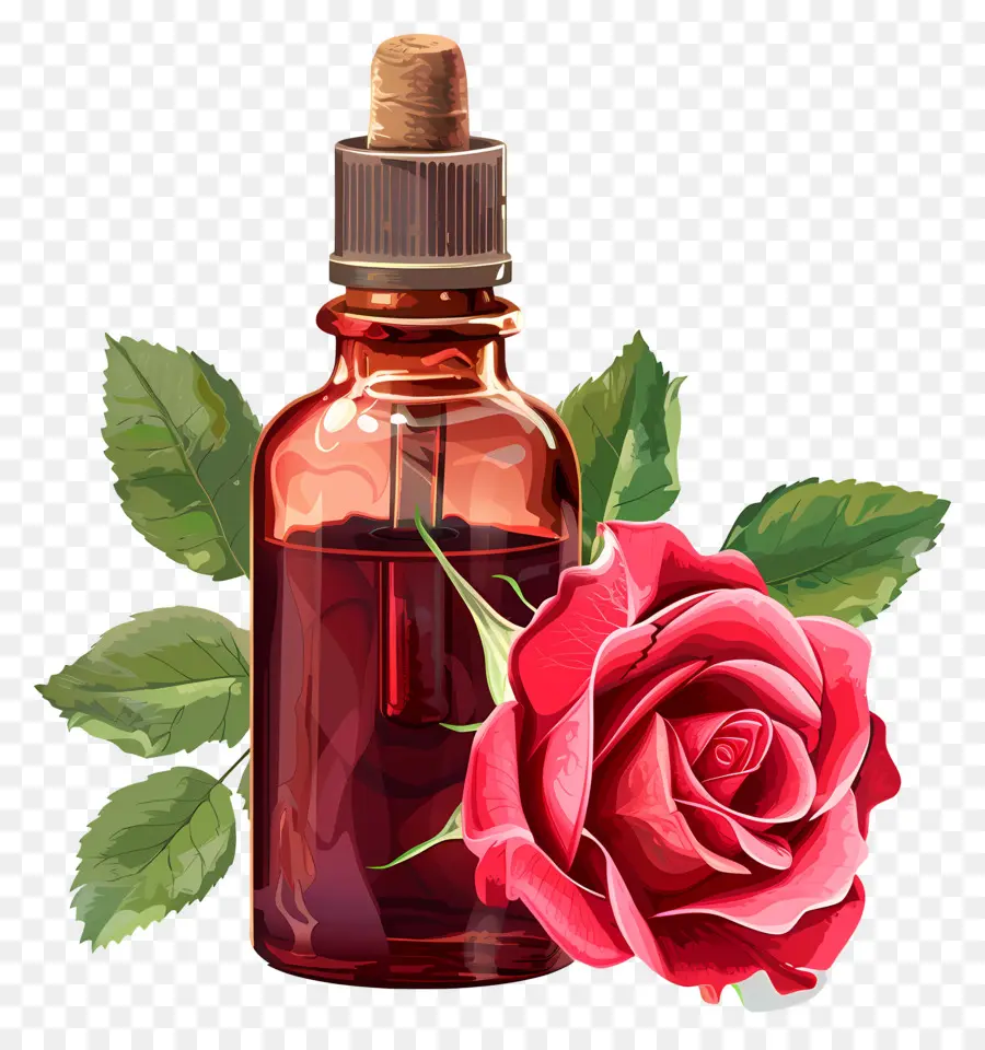 Minyak Mawar，Pink Rose PNG