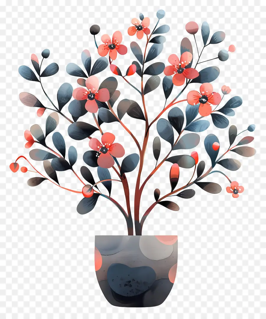 Bunga Semak，Pot Tanaman PNG