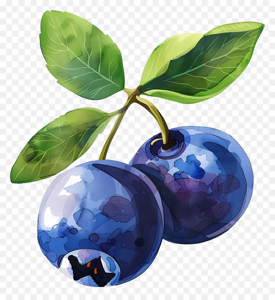 Blueberry，Beri PNG