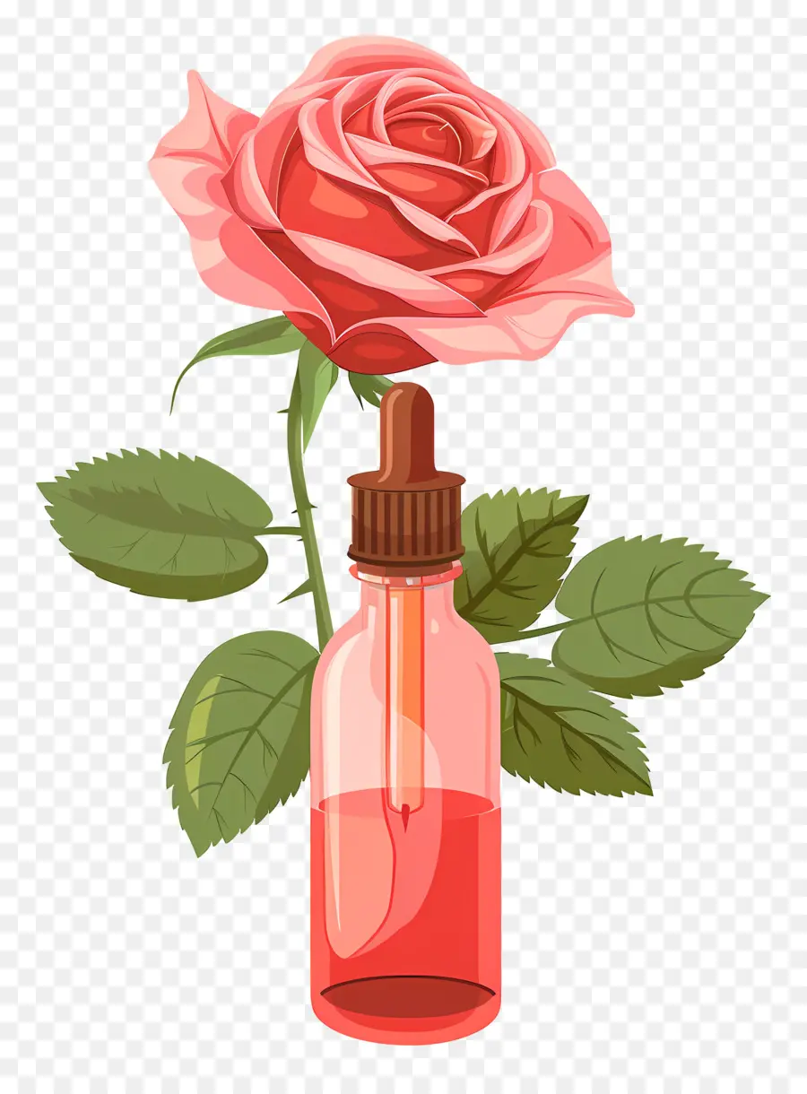 Minyak Mawar，Pink Rose PNG