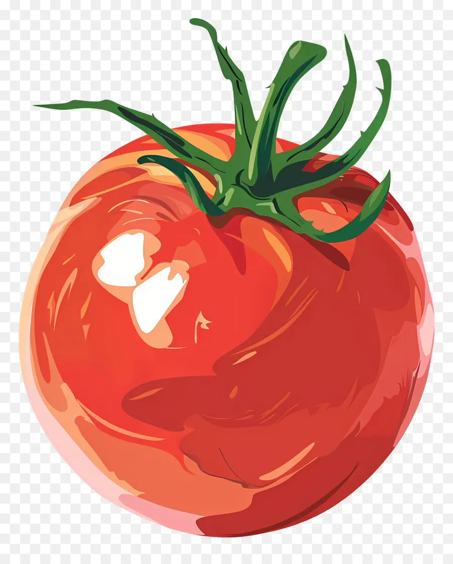 Tomat，Buah Yang Dapat Dimakan PNG