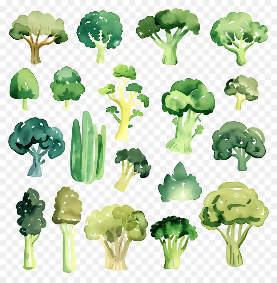 Brokoli，Pohon Pohon Hijau PNG