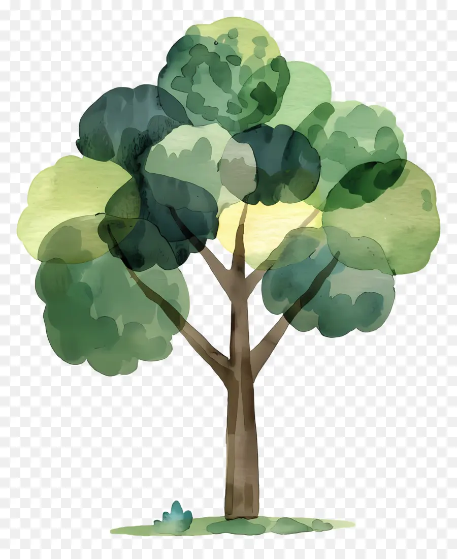 Kartun Pohon，Cat Air Pohon PNG