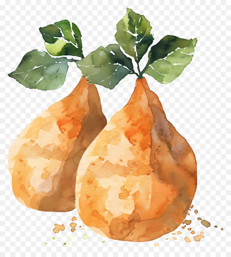 Yam，Lukisan Cat Air PNG