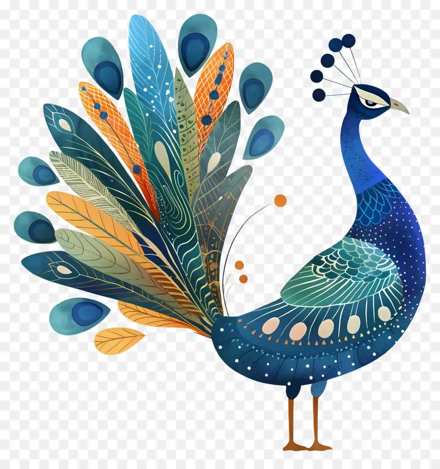 Kartun Merak，Burung PNG