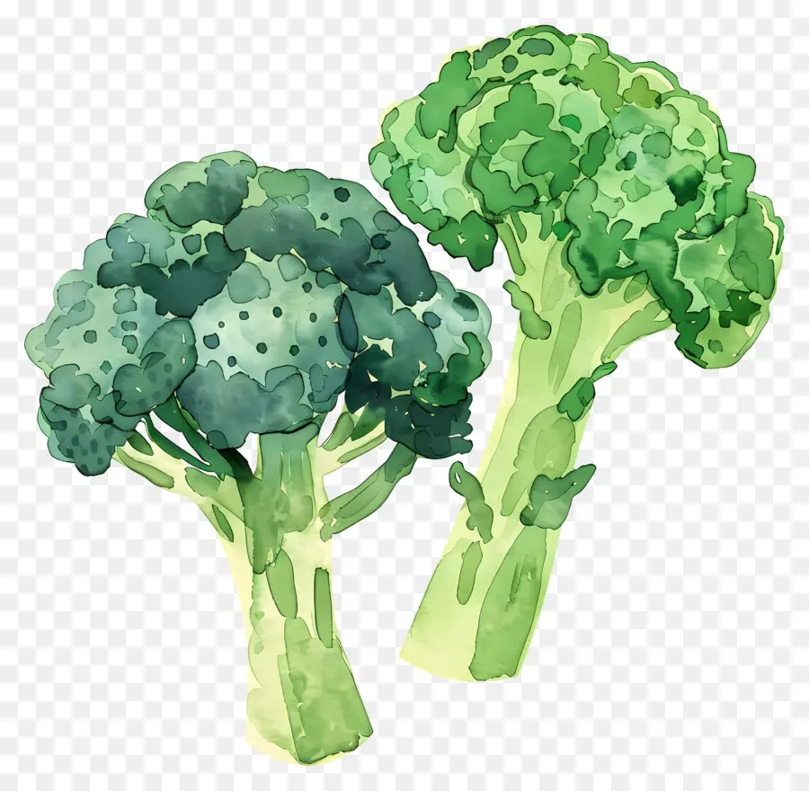 Brokoli，Sayuran Sehat PNG