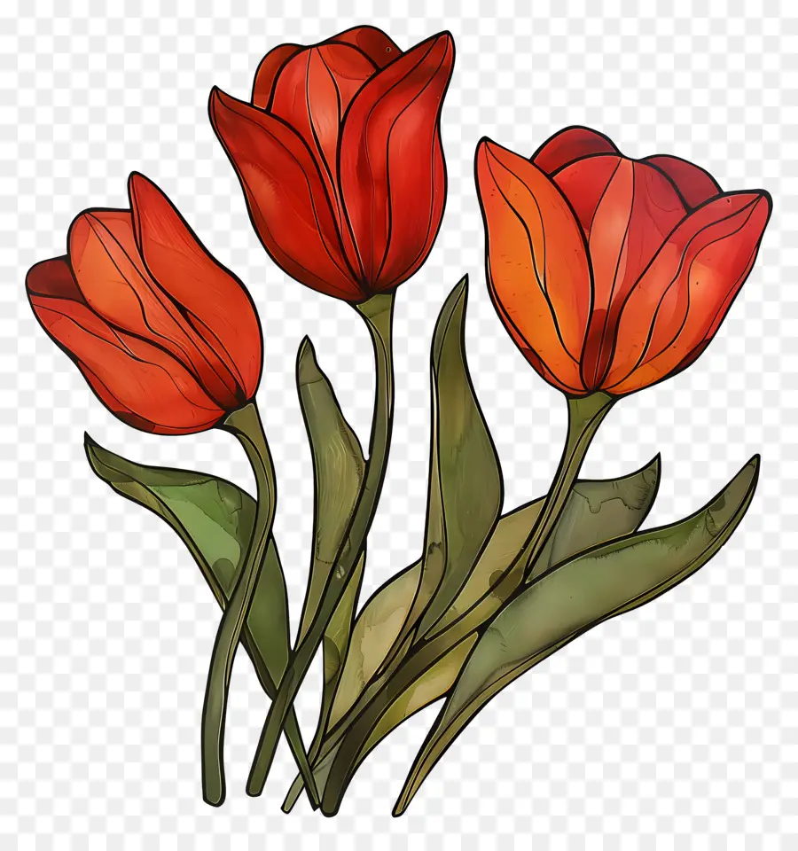 Tulip，Tulip Merah PNG