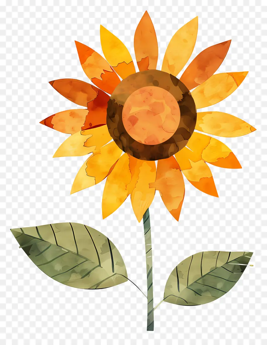 Bunga Matahari，Kelopak Oranye PNG