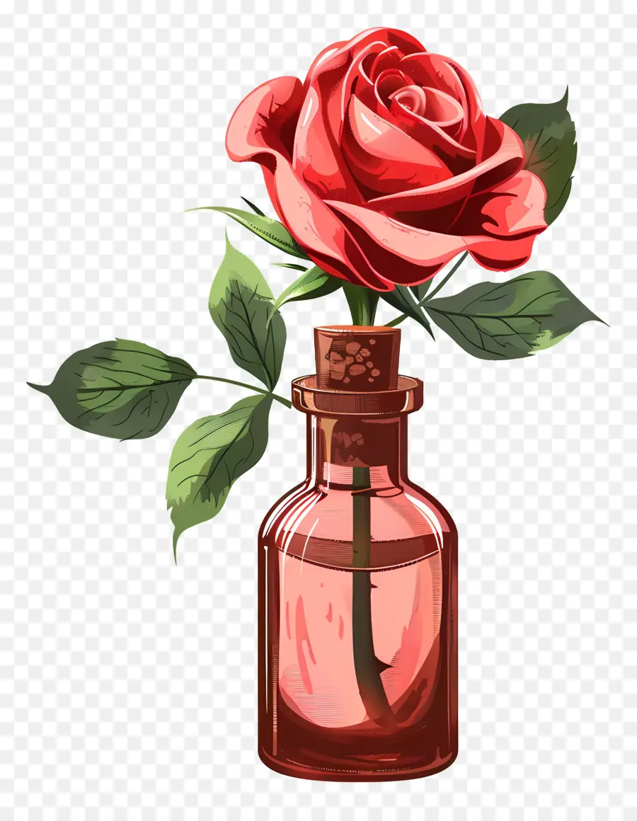 Minyak Mawar，Mawar Merah PNG